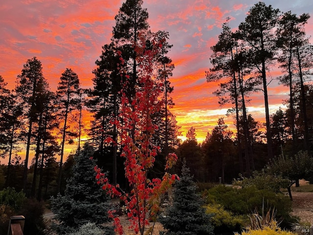 40695 Roseman Creek Rd, Gualala, CA 95445 - view of nature at dusk