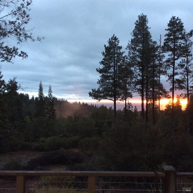 view of yard at dusk