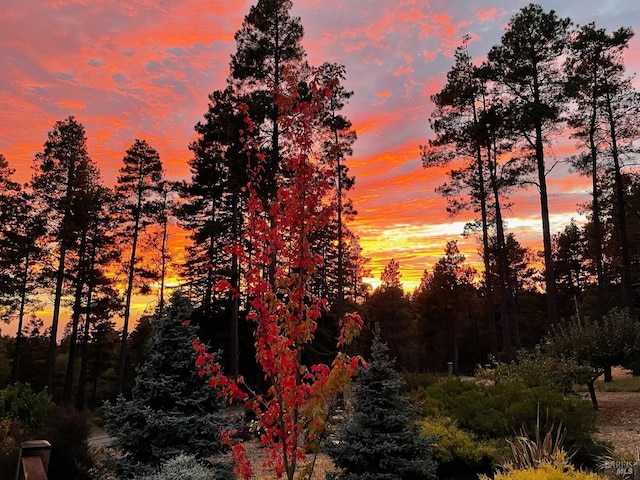 view of nature at dusk