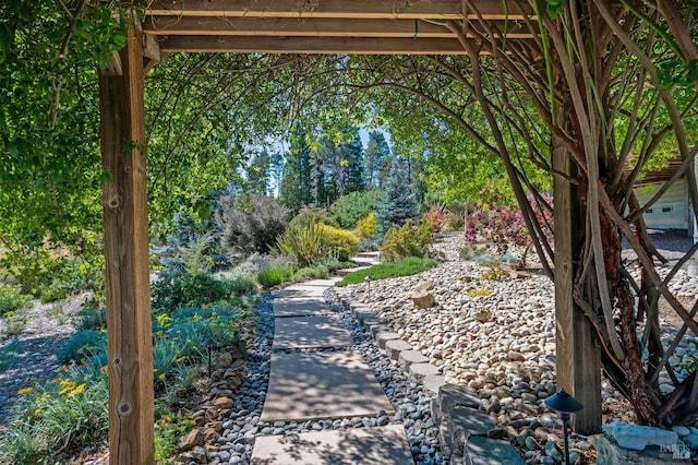 40695 Roseman Creek Rd, Gualala, CA 95445 - view of yard