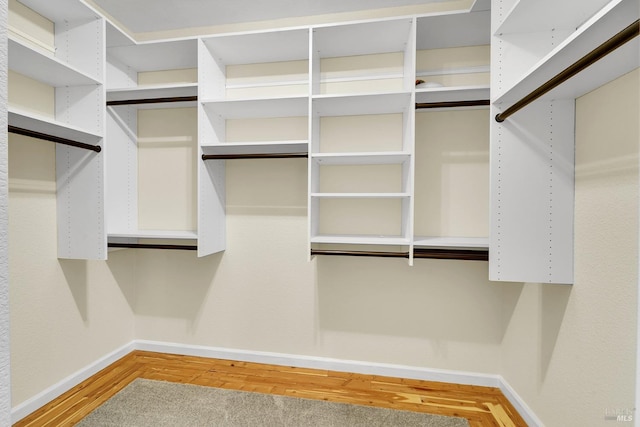 spacious closet featuring hardwood / wood-style flooring