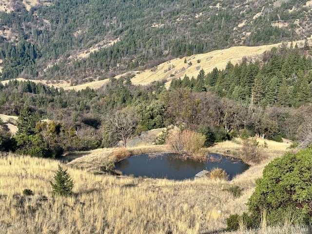 birds eye view of property with a water and mountain view