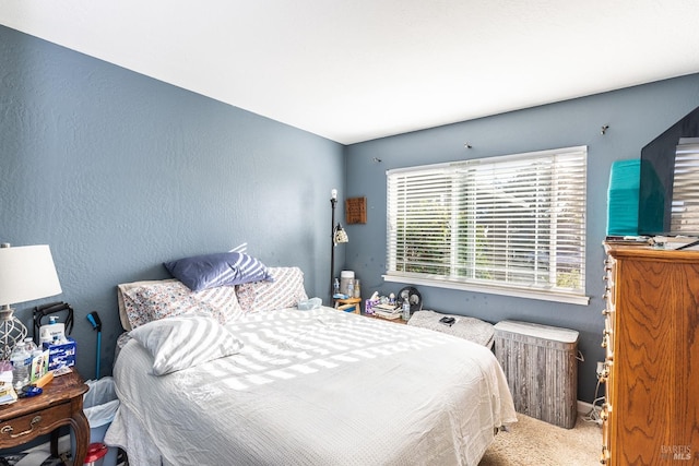 bedroom with carpet floors