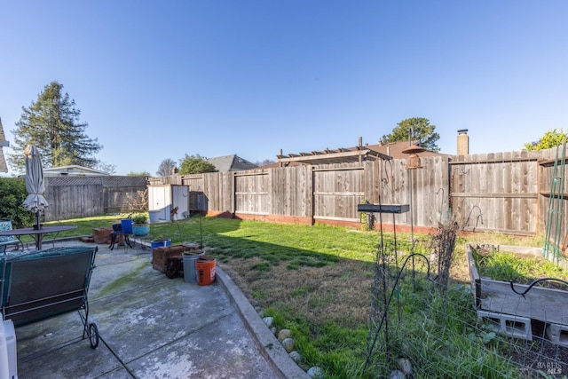 view of yard featuring a patio