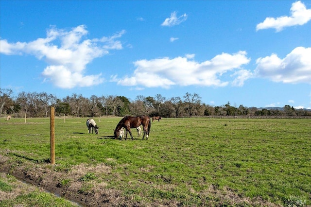 view of yard with a rural view