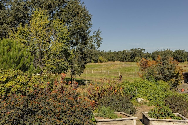 view of local wilderness featuring a rural view