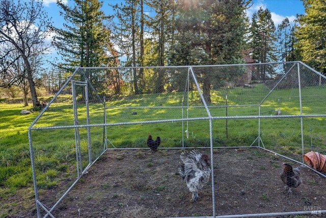 view of jungle gym featuring a lawn