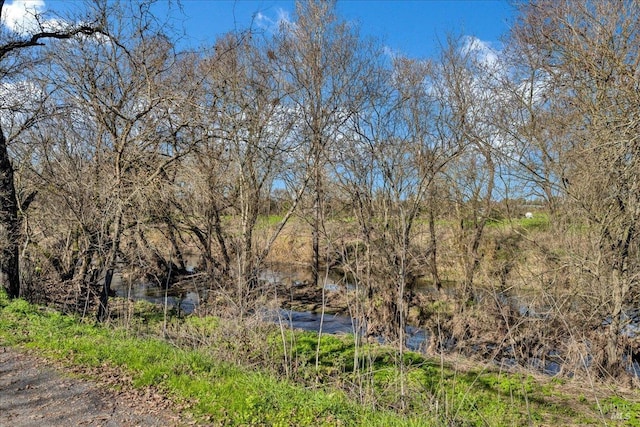 view of local wilderness