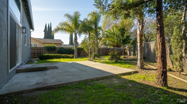 view of yard with a patio area and a fenced backyard