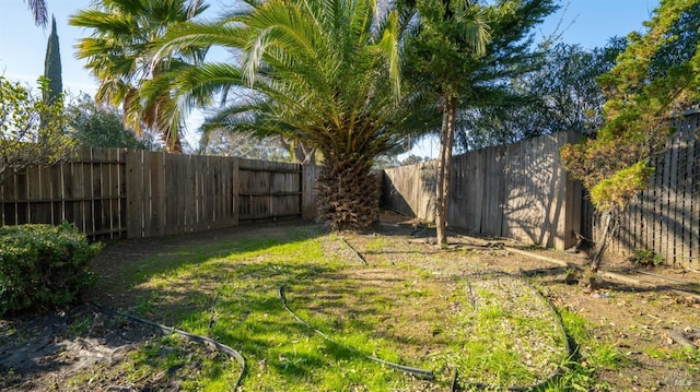 view of yard with a fenced backyard