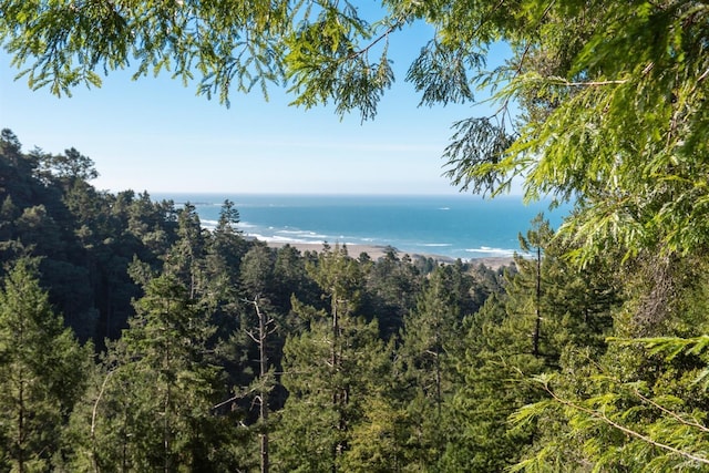 view of nature featuring a water view