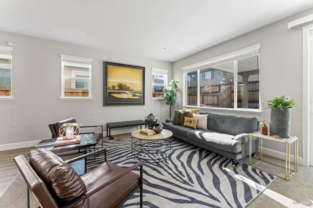 living room featuring baseboards and wood finished floors