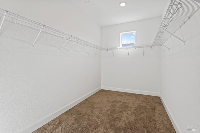 walk in closet featuring carpet