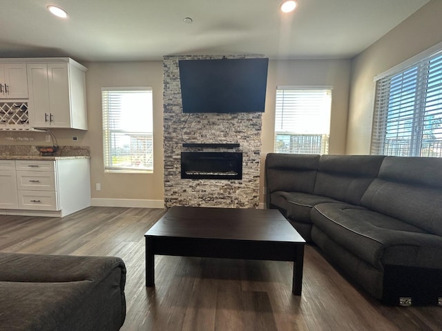 living room with wood-type flooring, a healthy amount of sunlight, and a fireplace