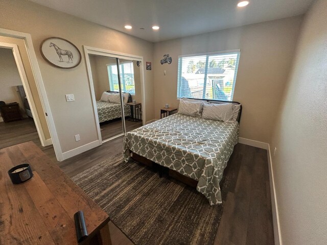 bedroom featuring dark hardwood / wood-style floors and a closet