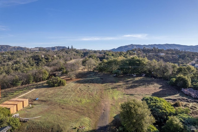 birds eye view of property featuring a mountain view