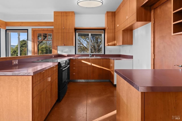 kitchen featuring black range with electric cooktop and sink