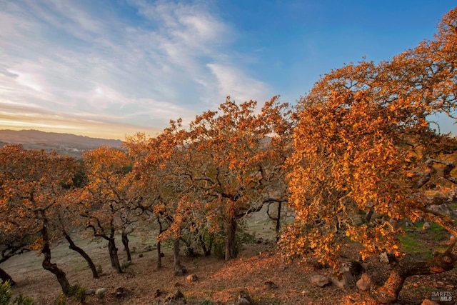 view of nature at dusk