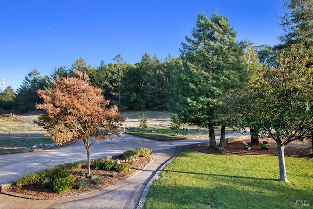 view of community featuring a lawn