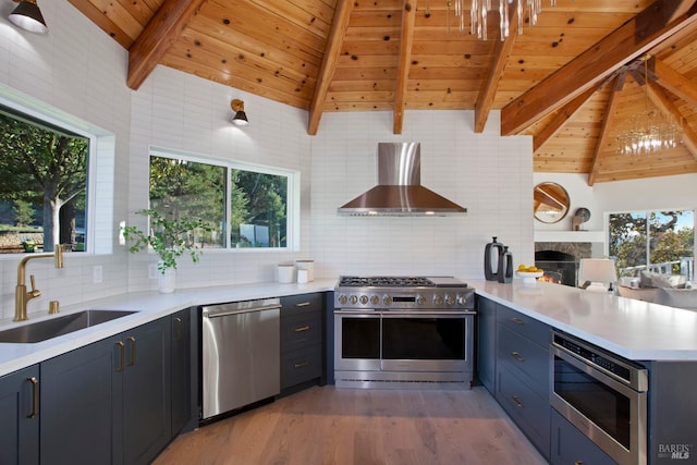 kitchen featuring appliances with stainless steel finishes, wall chimney exhaust hood, backsplash, and sink