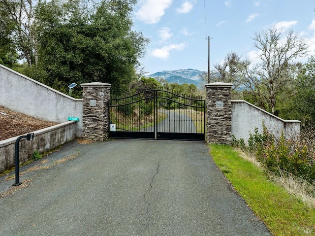 view of gate featuring a mountain view