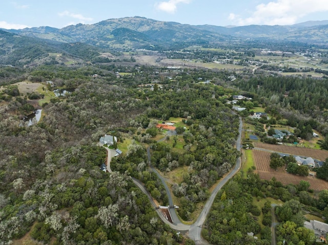 bird's eye view featuring a mountain view