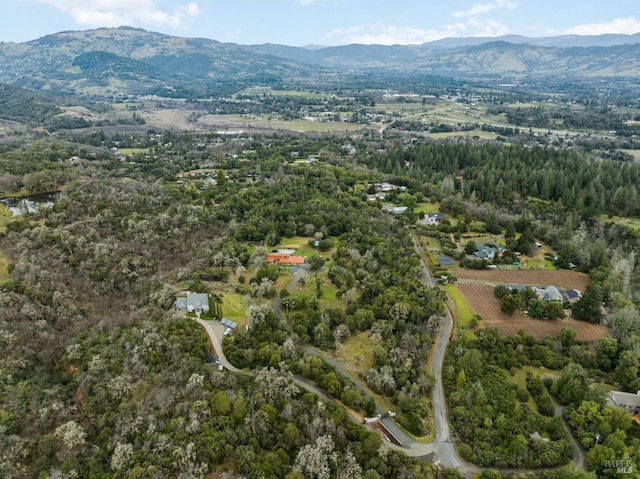 birds eye view of property featuring a mountain view