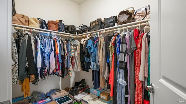 view of spacious closet