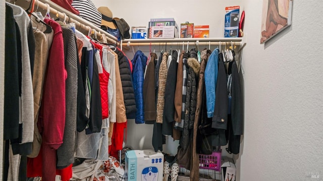 view of walk in closet