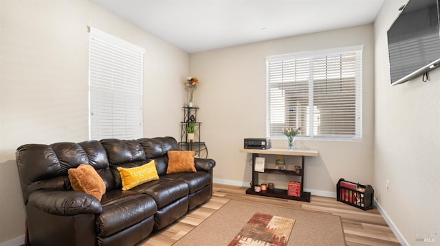 living room with light wood-type flooring