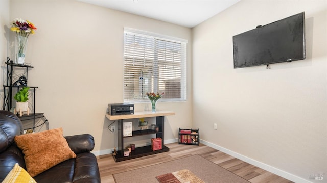 living area with wood-type flooring