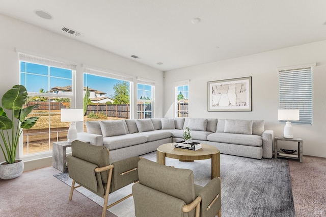 living room featuring carpet floors