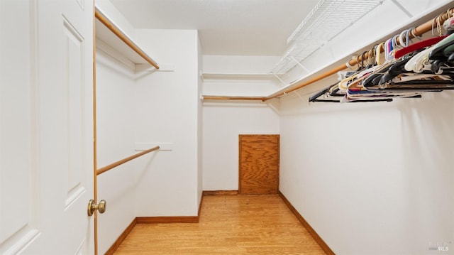 spacious closet with light hardwood / wood-style flooring