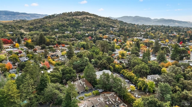 drone / aerial view featuring a mountain view