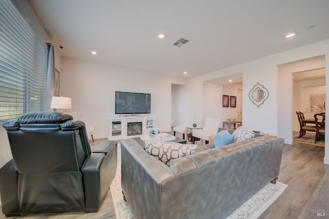 living room with a fireplace and light hardwood / wood-style floors