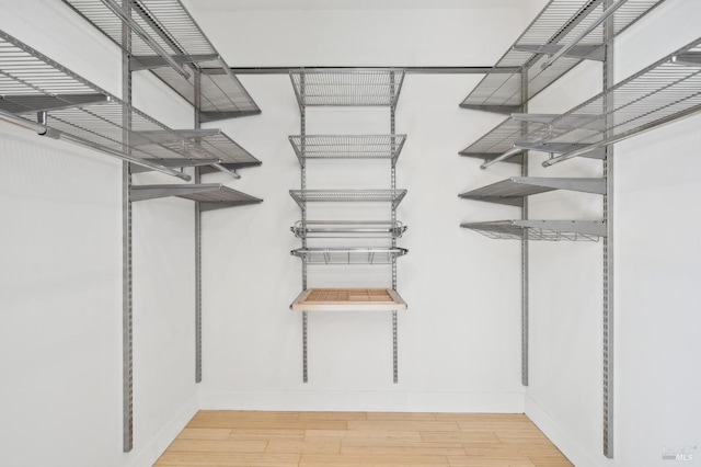 spacious closet featuring wood-type flooring