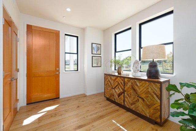 foyer with light hardwood / wood-style flooring