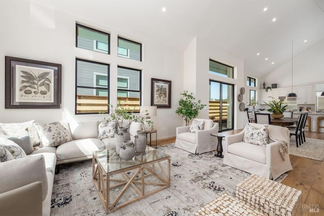 living room featuring high vaulted ceiling and light hardwood / wood-style flooring