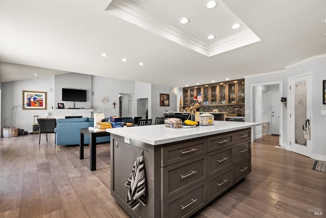 kitchen with tasteful backsplash, a center island, a raised ceiling, hardwood / wood-style flooring, and ornamental molding