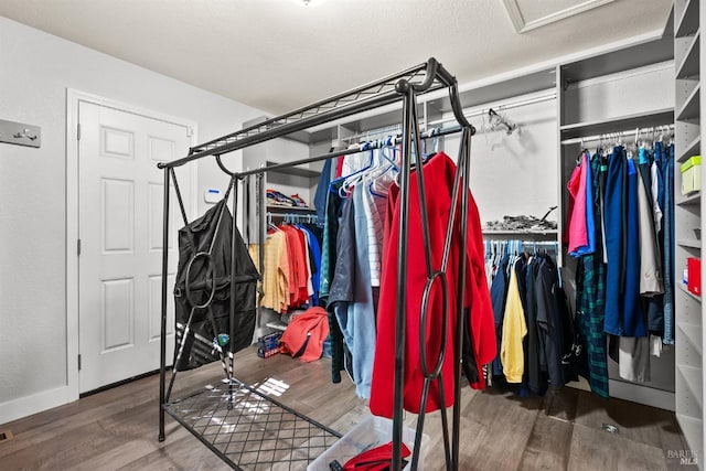 walk in closet with dark wood-type flooring