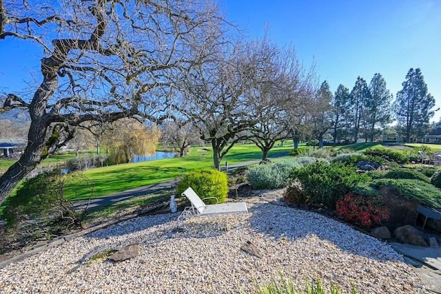 view of yard featuring a water view