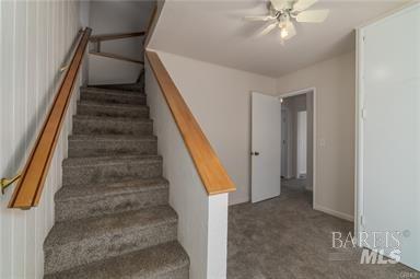 stairway featuring carpet and ceiling fan