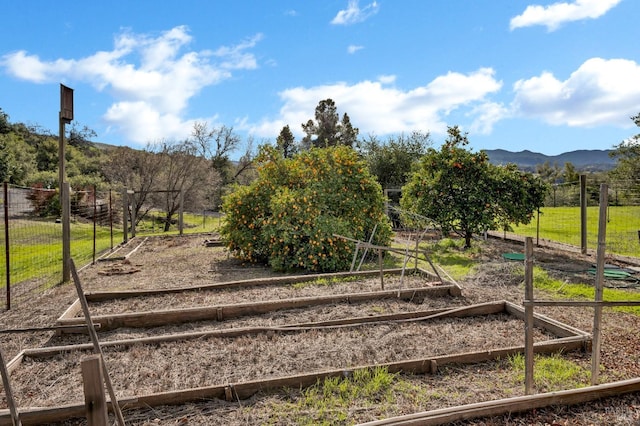 view of property's community featuring a mountain view and a rural view