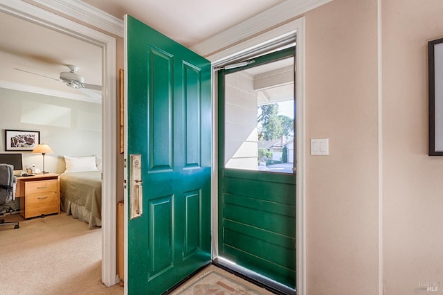 carpeted entryway with ceiling fan and crown molding