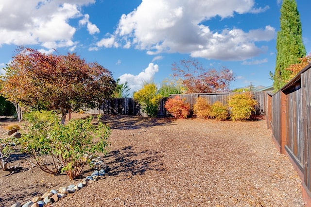 view of yard featuring a fenced backyard