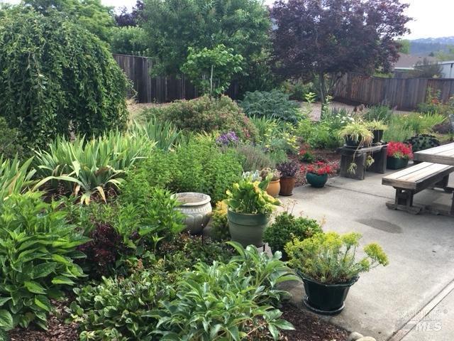 view of yard featuring a patio area and fence