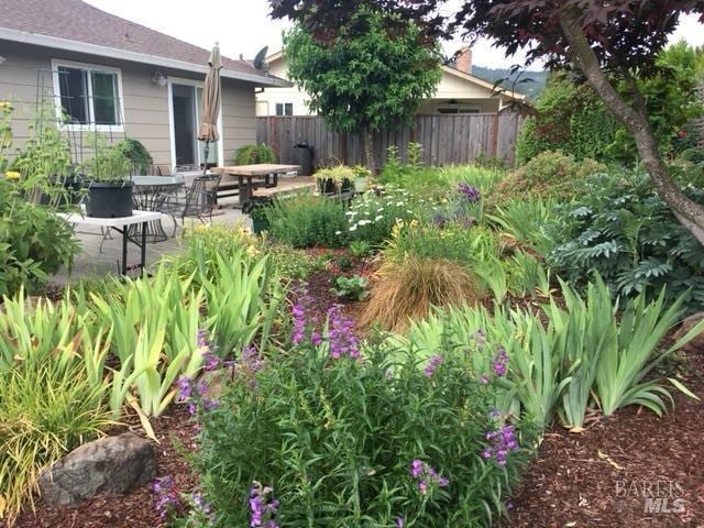 view of yard featuring a patio and fence