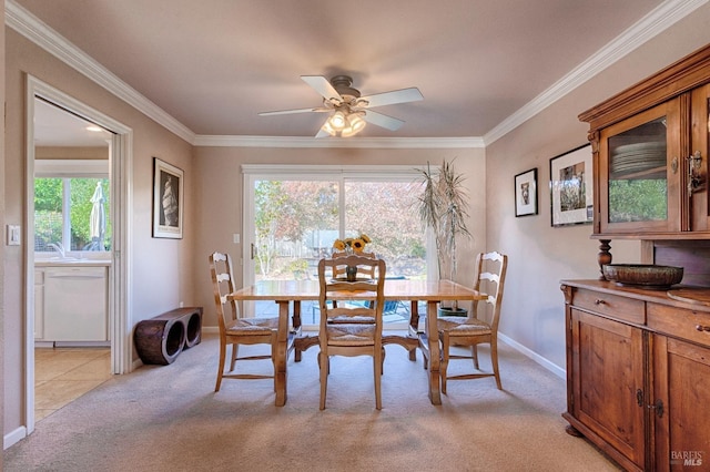 dining space featuring light carpet, ceiling fan, baseboards, and crown molding