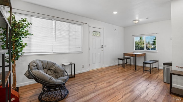 living area featuring hardwood / wood-style flooring