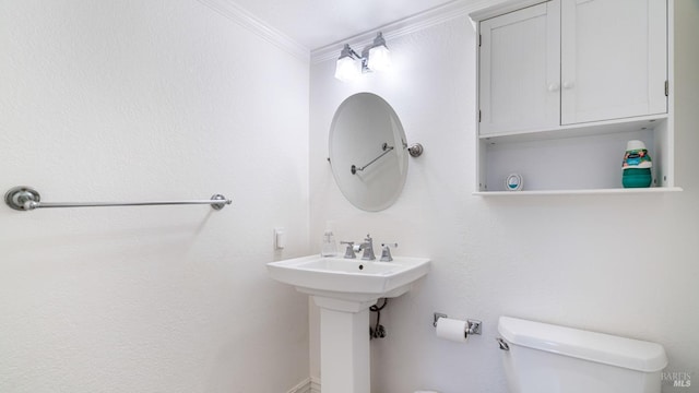 bathroom featuring toilet, crown molding, and a sink